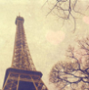 camii_pica: (pic#8218905)