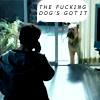 rusty_halo: (kkbb: the fucking dog's got it)