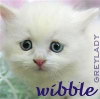 ladyjane: Tiny white kitten looking worried. "wibble." (*wibble*)