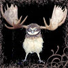 owlmoose: (owlmoose 2)
