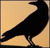 a_crowded_mind: crow silhouette (PH Liam smile)