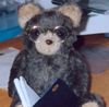 readinggeek451: dark brown teddy bear with glasses and a book (Bruno)