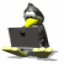 attie: An animated penguin with a laptop, typing. (geek - geeky penguin)