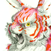 attie: An angry pink and white striped rabbit. (misc - angry rabbit is angry)