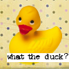 attie: A rubber duck captioned "what the duck?" (duck - what the duck)