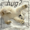 sansets: (Polar Bear Hug)