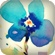 soritt: (pic#830001)