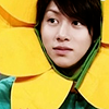 indefinable: (sj | heechul sunflower)