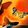 fawatson: (butterflies)