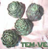 temve: Artichokes on a tea towel (Default)