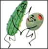 bradygirl_12: (pickle (dill)--olive (dancing))