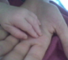 ludy: a tiny baby's hand on top of my adult hand (hands)