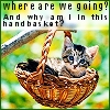 rhienelleth: (handbasket - marinarusalka)