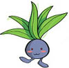 moon_leaf: ([Oddish] Rosy cheeks)