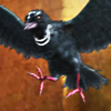 kingkilvas: (raven; caw caw motherfucker)