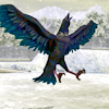 kingkilvas: (raven; aw yiss)