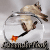 lavendertook: (meezer fishbait)