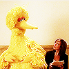 gnomad: CJ Cregg. Big Bird. On a bench. 'Nuf said. (CJ Cregg--CJ & Big Bird)