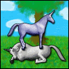 talumin: A scene from Charlie the Unicorn, with Charlie being jumped on (bouncing)