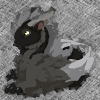 cheyinka: A blurry image of a furry, black and grey dragon with glowing golden eyes. (dagron)