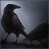 ext_773020: picture of two ravens standing in the mist (Default)