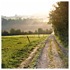 semielliptical: road beside a field (road)