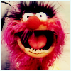 jenab: (muppets - animal)