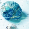 java: Sea shell (Sea)