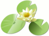 visnagar_memories: (Default)