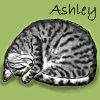 vilakins: (ashley art)