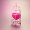 ellia: pink loveheart in a gilded cage (caged heart)