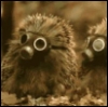 wintergrey: Two tiny creatures like hedgehogs wearing gas masks, looking surprised at something off-screen. (It's weird in here!)