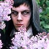 intothewood: (Otto flowers)