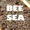 bcholmes: I’m covered in bees! (bee sea)