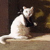 22sobaki: (кот)