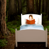 bethctg: (book in bed/forest by wyns_icons)