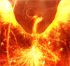 infernal_teddy: (fire, phoenix)