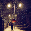 lapassantjuriste: an evening stroll/wonderful rain (15)