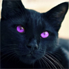 absentconstellation: (magic eyes)