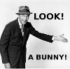 deakat: (bunny)