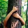 alwayswondered: A person hugging a tree. (Life is beautiful)