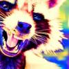 donttouchthefur: (Default)