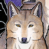 stefan_kador: (wolftotem)