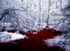 the_blood: (Blood_Is_The_Living_River)
