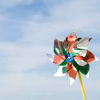 mistresscurvy: (Pinwheel)