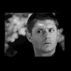 kabal42: Dean from Supernatural w. text: WTF? (Emotions - WTF? Dean)