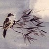batdina: (moonbird -- lanning)