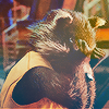 donttouchthefur: (surrounded by idiots)