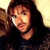 willnothide: (curious. like a cat.)