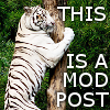 lireavue: A white tiger clinging to a tree. Which is like a post. No, really. (this are srs mod post)